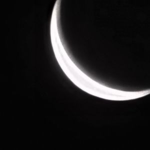 Meet your Posher, Johan